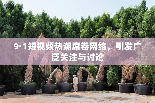 9·1短视频热潮席卷网络，引发广泛关注与讨论