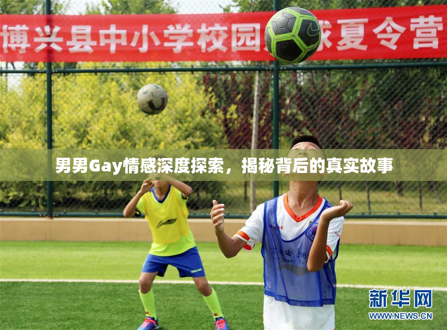 男男Gay情感深度探索，揭秘背后的真实故事