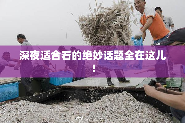 深夜适合看的绝妙话题全在这儿！