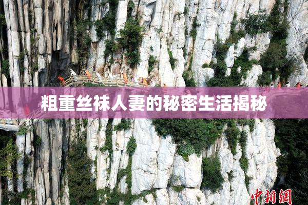 粗重丝袜人妻的秘密生活揭秘