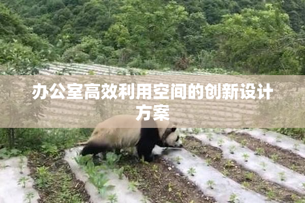 办公室高效利用空间的创新设计方案