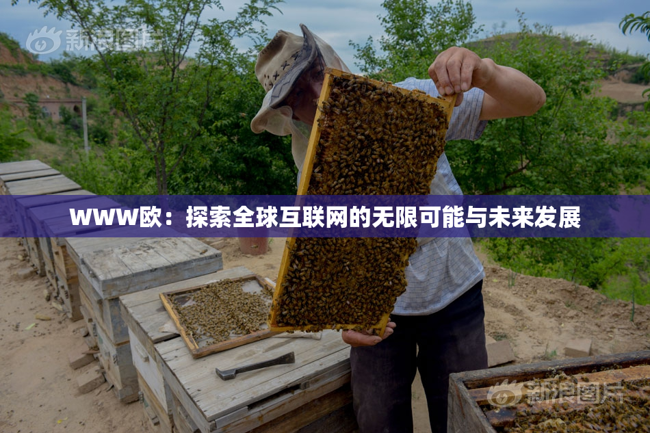 WWW欧：探索全球互联网的无限可能与未来发展