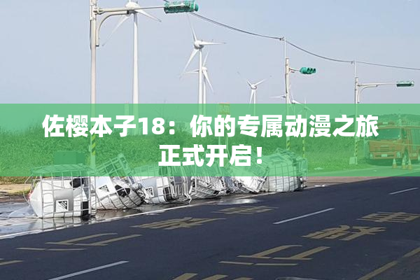 佐樱本子18：你的专属动漫之旅正式开启！