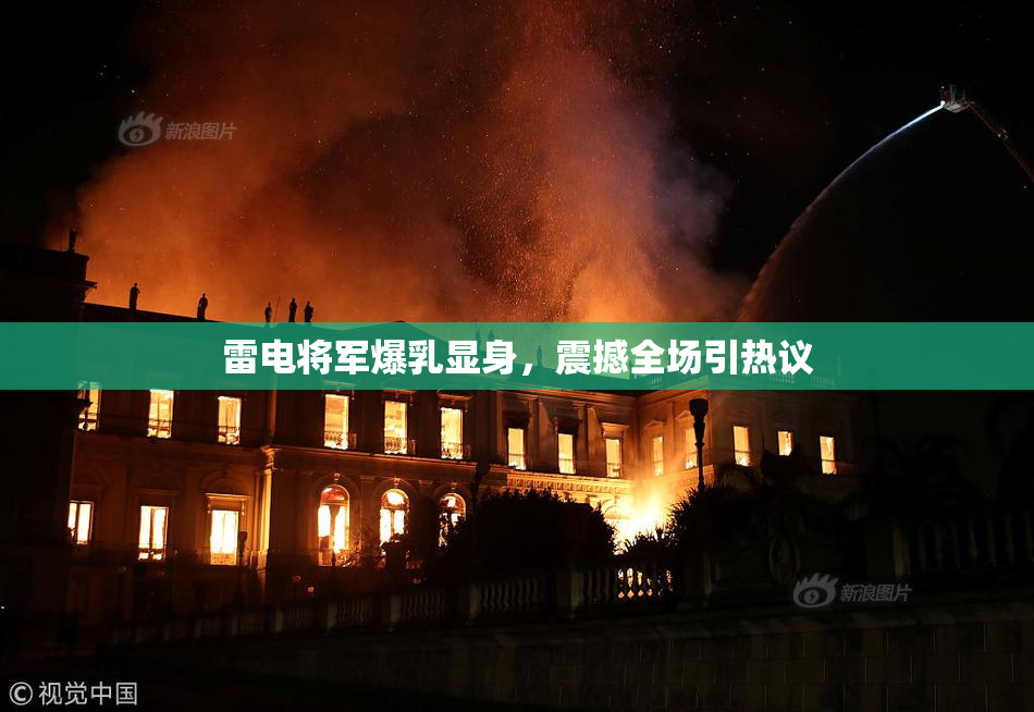 雷电将军爆乳显身，震撼全场引热议