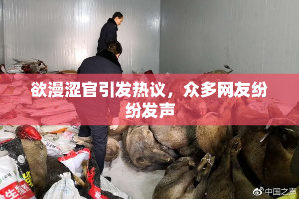 欲漫涩官引发热议，众多网友纷纷发声