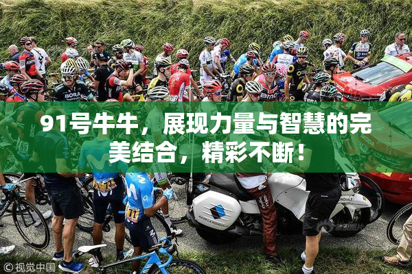 91号牛牛，展现力量与智慧的完美结合，精彩不断！