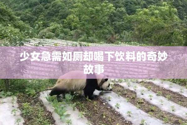 少女急需如厕却喝下饮料的奇妙故事