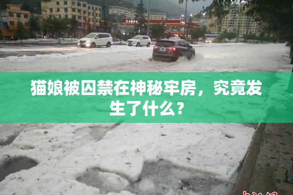 猫娘被囚禁在神秘牢房，究竟发生了什么？