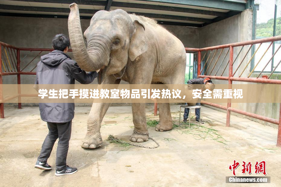 学生把手摸进教室物品引发热议，安全需重视
