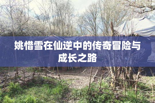 姚惜雪在仙逆中的传奇冒险与成长之路