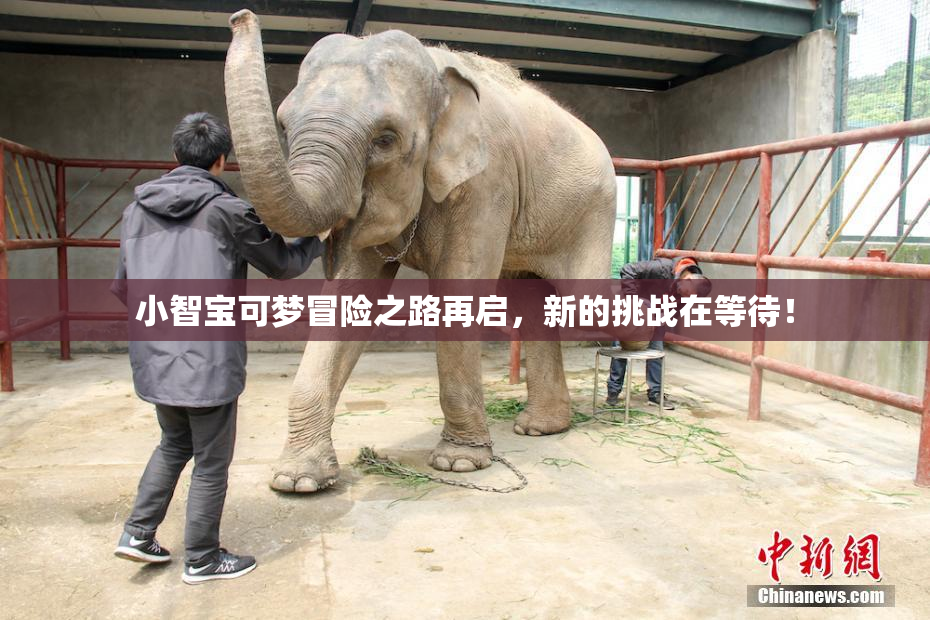 小智宝可梦冒险之路再启，新的挑战在等待！
