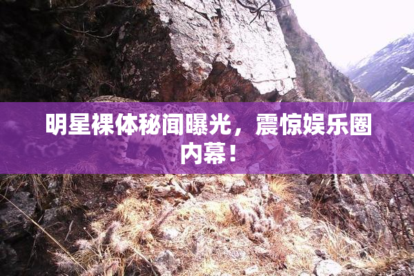 明星裸体秘闻曝光，震惊娱乐圈内幕！