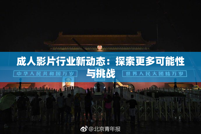 成人影片行业新动态：探索更多可能性与挑战