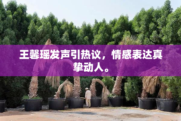 王馨瑶发声引热议，情感表达真挚动人。