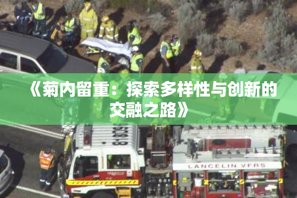 《菊内留重：探索多样性与创新的交融之路》