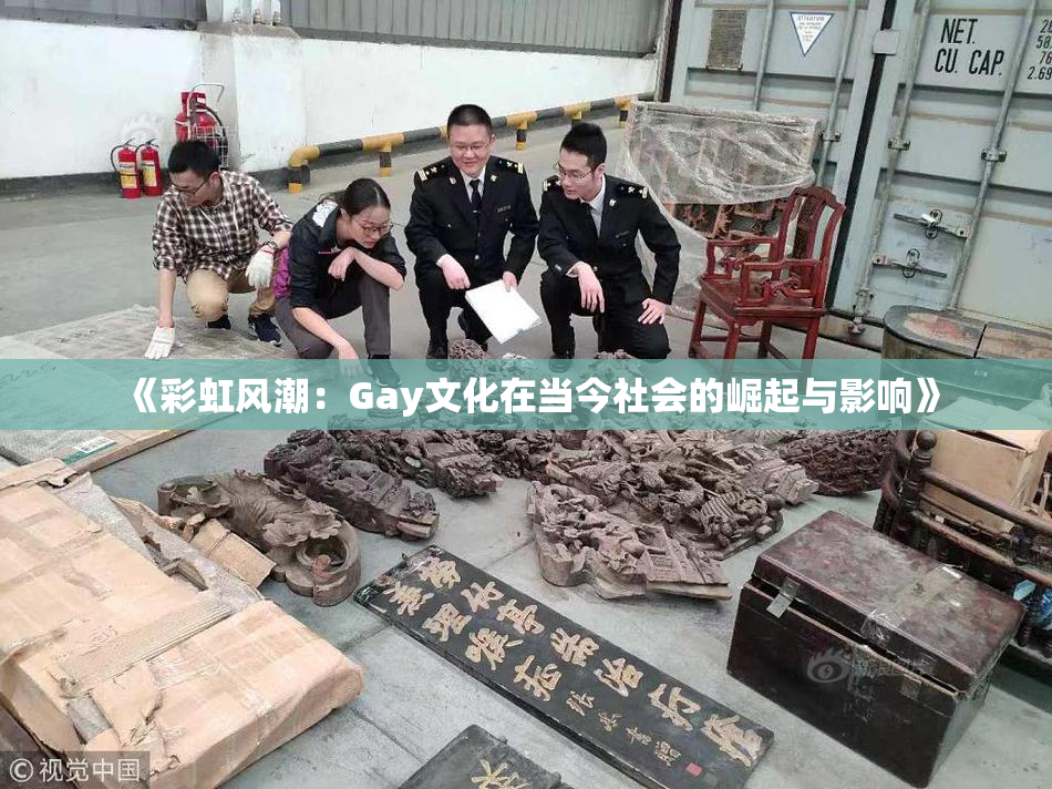 《彩虹风潮：Gay文化在当今社会的崛起与影响》