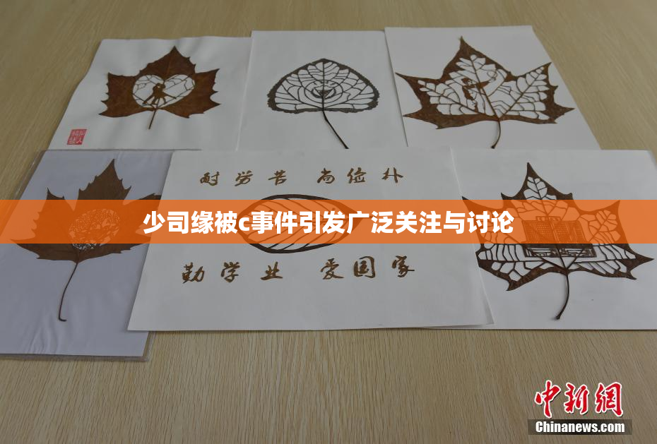 少司缘被c事件引发广泛关注与讨论