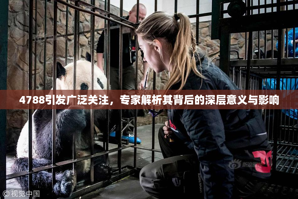 4788引发广泛关注，专家解析其背后的深层意义与影响