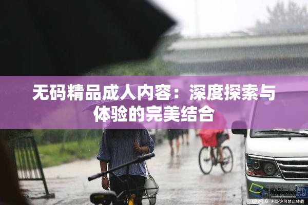 无码精品成人内容：深度探索与体验的完美结合
