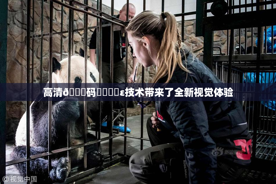 高清🈚码❌‌❌‌ε技术带来了全新视觉体验