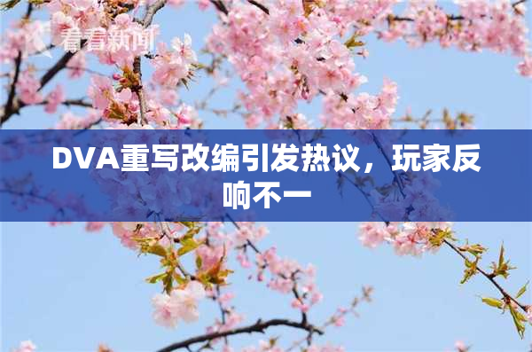 DVA重写改编引发热议，玩家反响不一