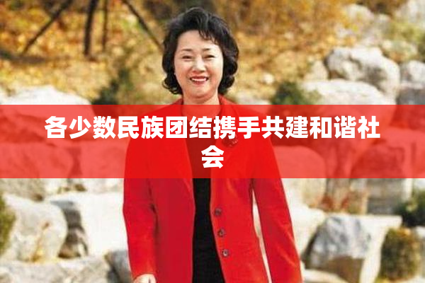 各少数民族团结携手共建和谐社会