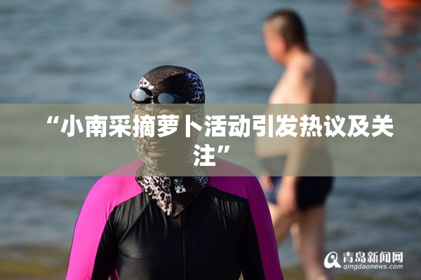 “小南采摘萝卜活动引发热议及关注”