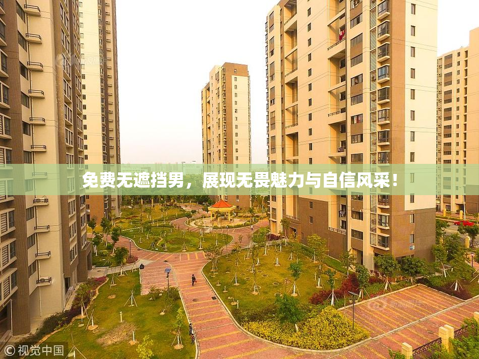 免费无遮挡男，展现无畏魅力与自信风采！