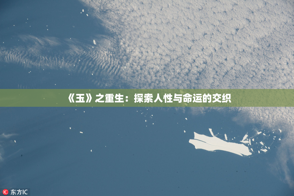 《玉》之重生：探索人性与命运的交织