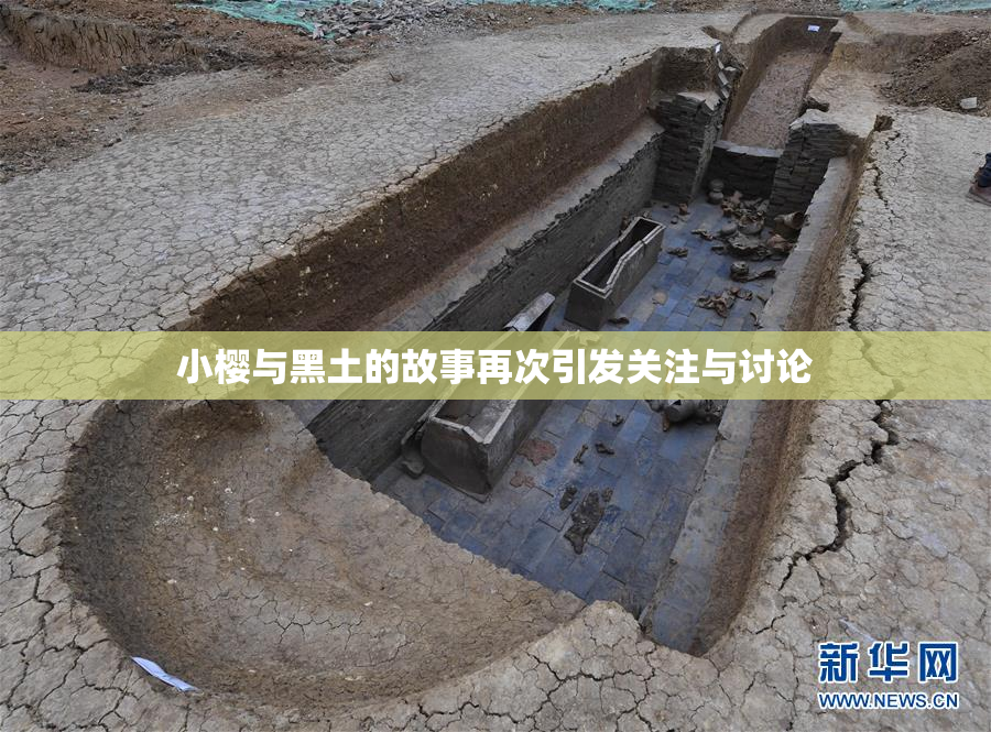 小樱与黑土的故事再次引发关注与讨论