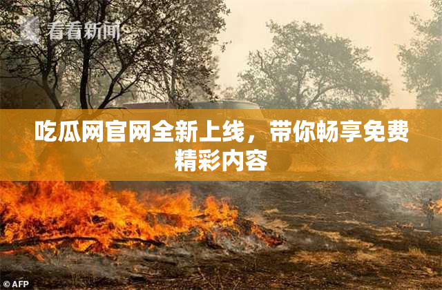 吃瓜网官网全新上线，带你畅享免费精彩内容