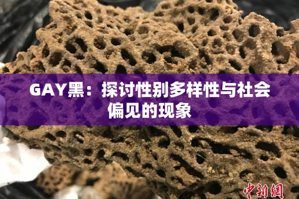 GAY黑：探讨性别多样性与社会偏见的现象