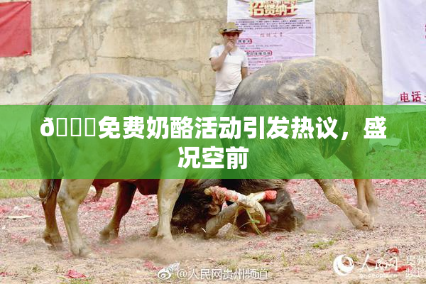 🔞免费奶酪活动引发热议，盛况空前