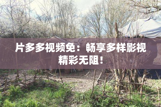 片多多视频免：畅享多样影视精彩无阻！