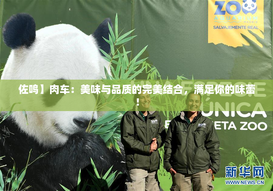佐鸣】肉车：美味与品质的完美结合，满足你的味蕾！