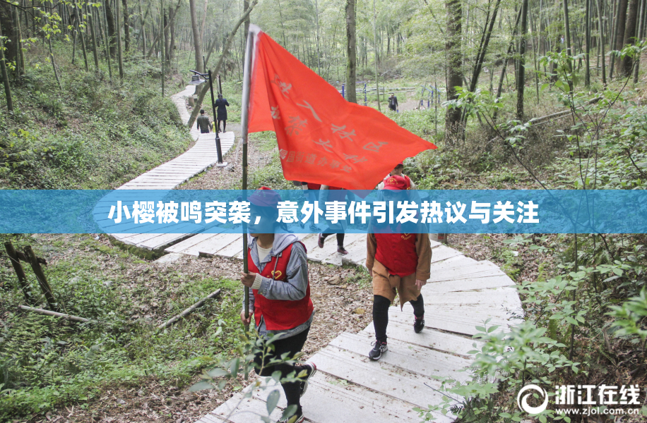 小樱被鸣突袭，意外事件引发热议与关注