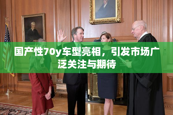 国产性70y车型亮相，引发市场广泛关注与期待