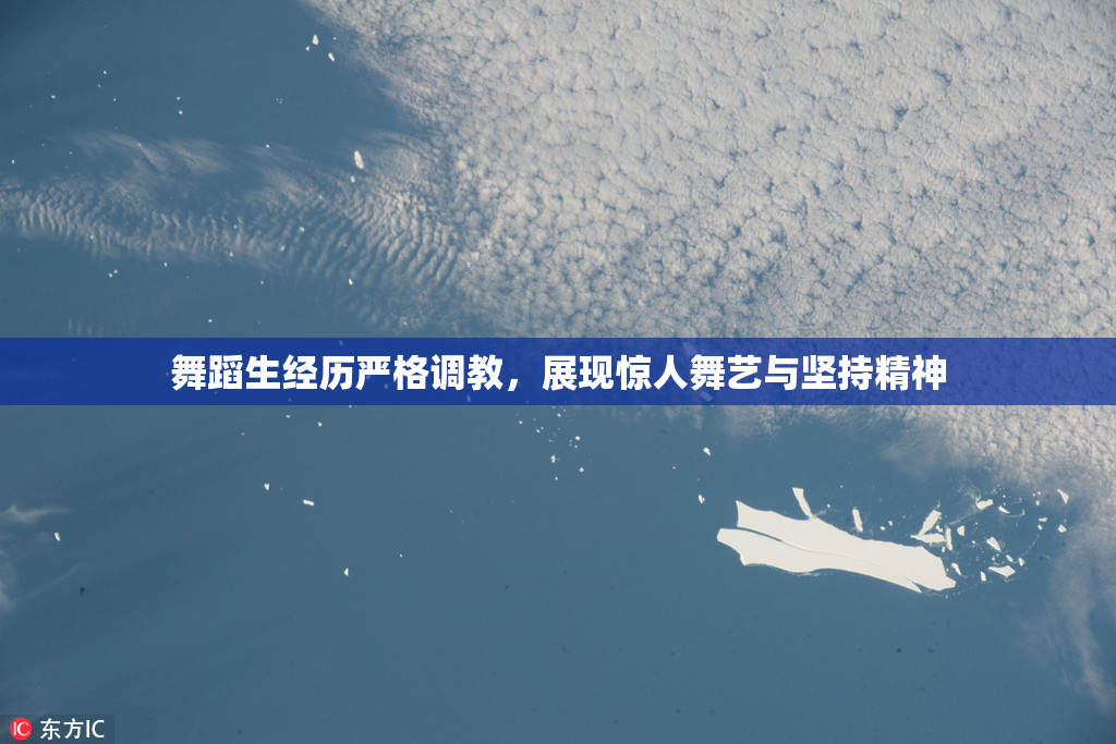舞蹈生经历严格调教，展现惊人舞艺与坚持精神