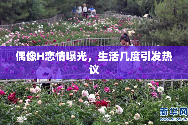 偶像H恋情曝光，生活几度引发热议
