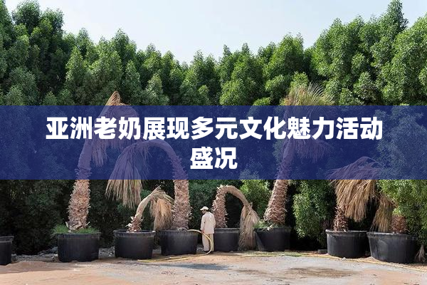 亚洲老奶展现多元文化魅力活动盛况