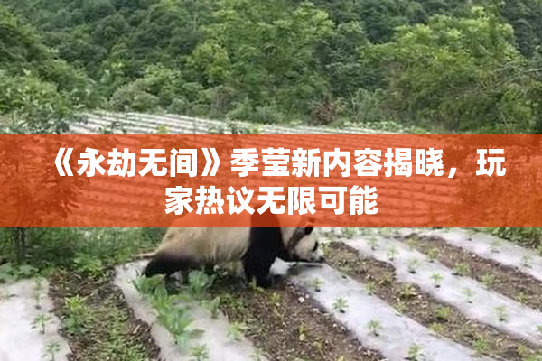 《永劫无间》季莹新内容揭晓，玩家热议无限可能