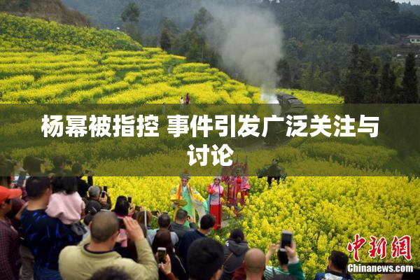 杨幂被指控 事件引发广泛关注与讨论