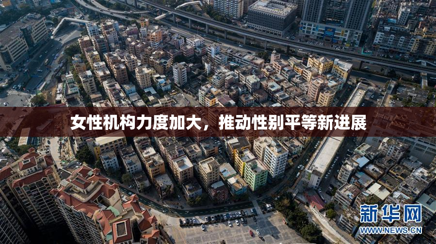 女性机构力度加大，推动性别平等新进展