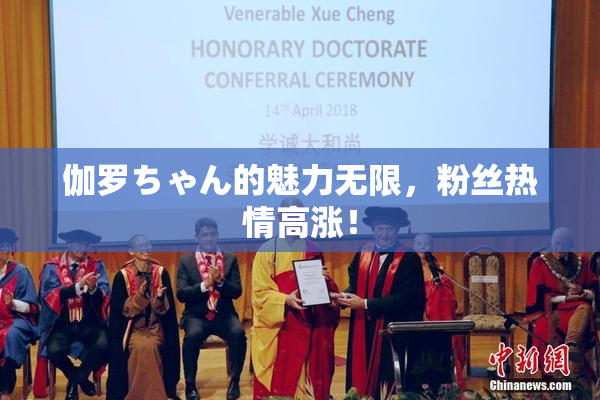 伽罗ちゃん的魅力无限，粉丝热情高涨！