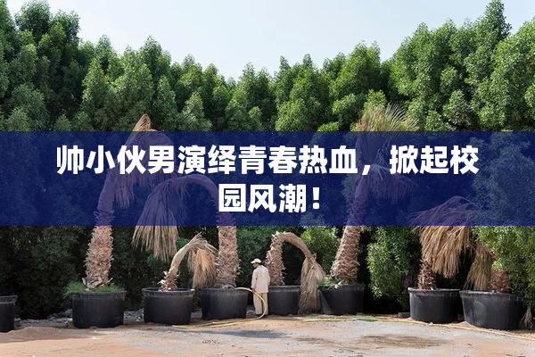 帅小伙男演绎青春热血，掀起校园风潮！