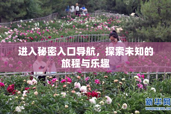 进入秘密入口导航，探索未知的旅程与乐趣