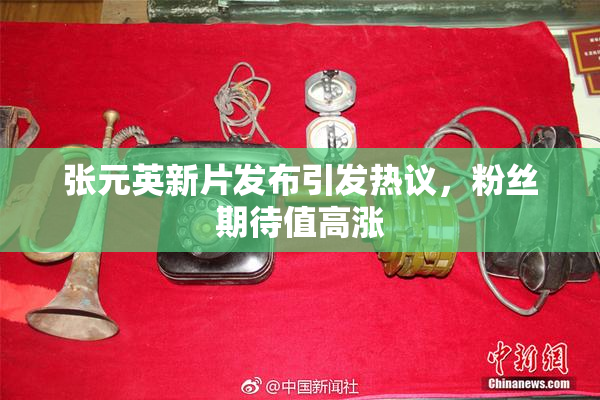 张元英新片发布引发热议，粉丝期待值高涨