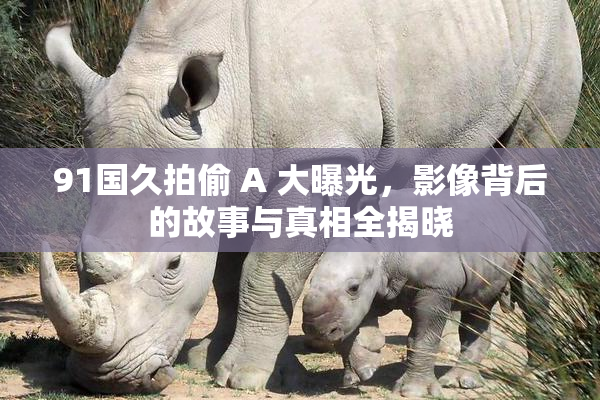 91国久拍偷 A 大曝光，影像背后的故事与真相全揭晓