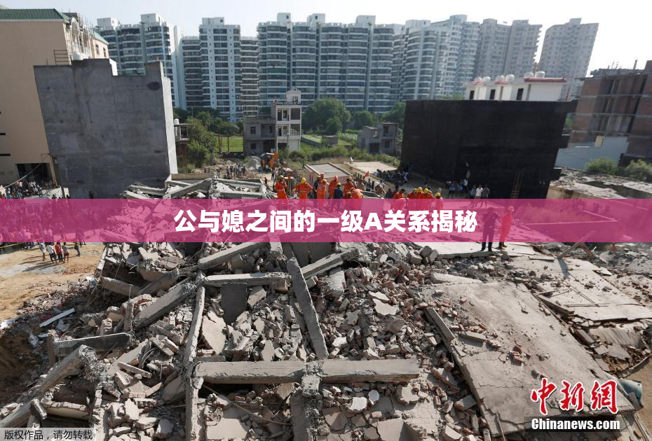 公与媳之间的一级A关系揭秘