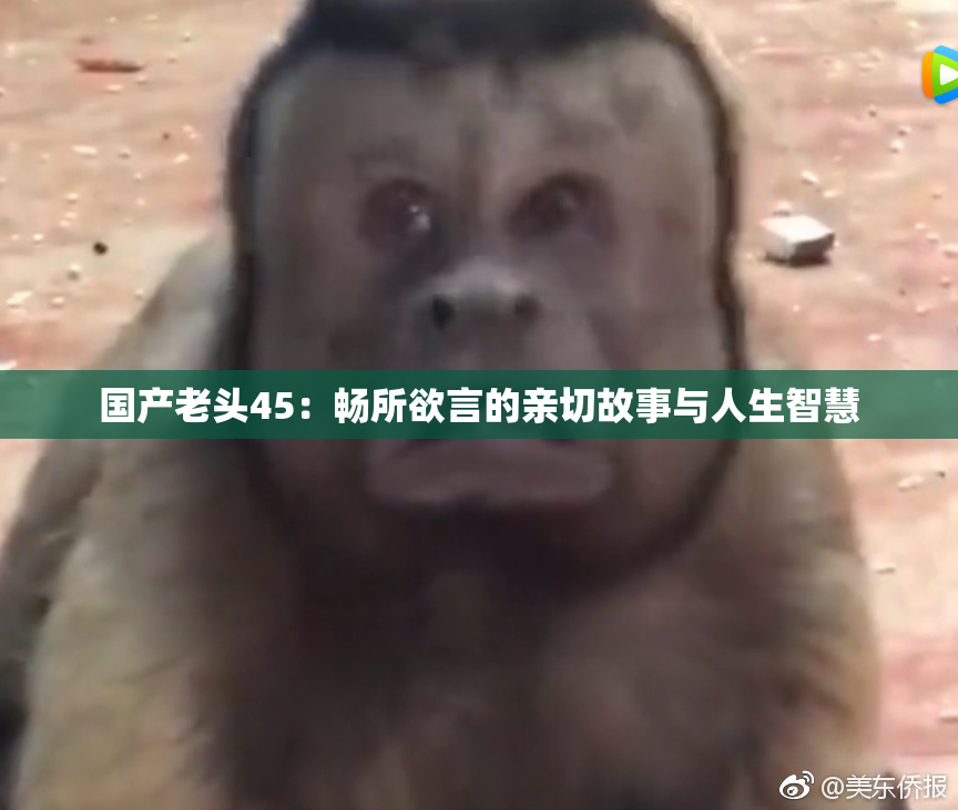 国产老头45：畅所欲言的亲切故事与人生智慧